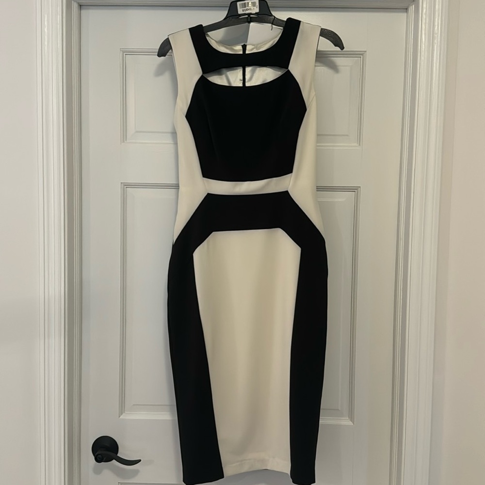 Hayden cutout color block dress. Never worn.